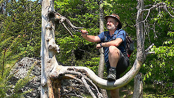 Wandern im Bayerischen Wald
